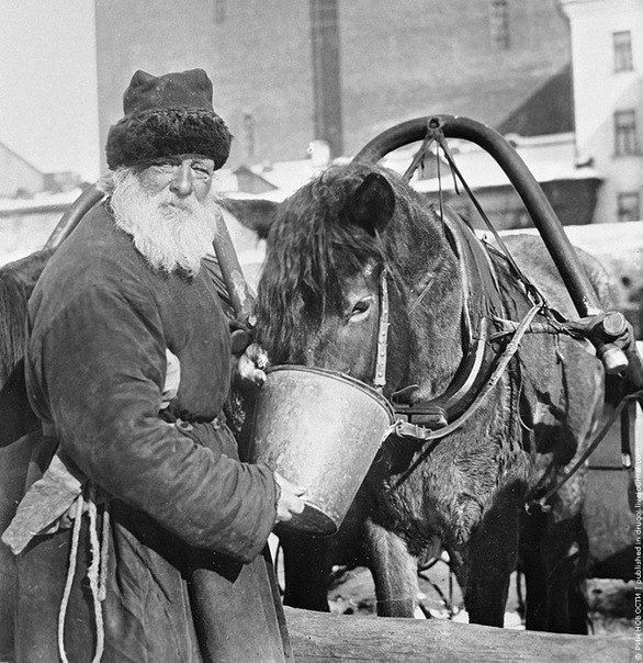 Водитель кобылы заправляет свой транспорт. Москва. 1924 год